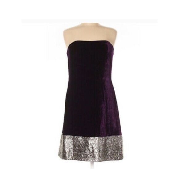 Badgley Mischka sleeveless velvet silver dress